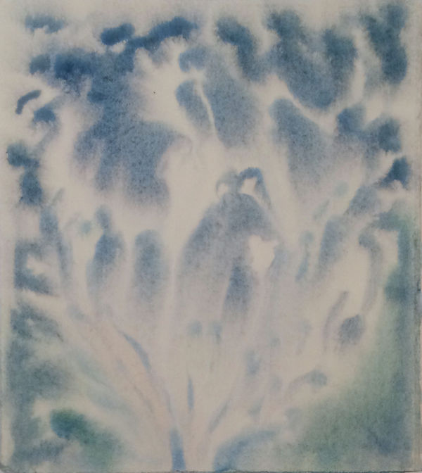 Ripley Whiteside, Plume, 2019