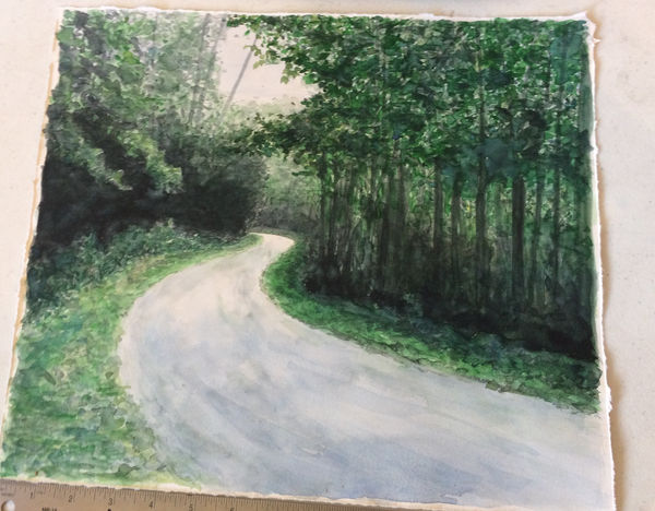 Ripley Whiteside, Blue Valley Experimental Forest