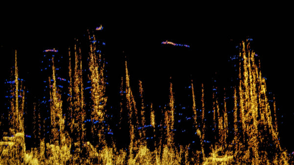 Ludovic Boney, Mémoires ennoyées 15, 2021