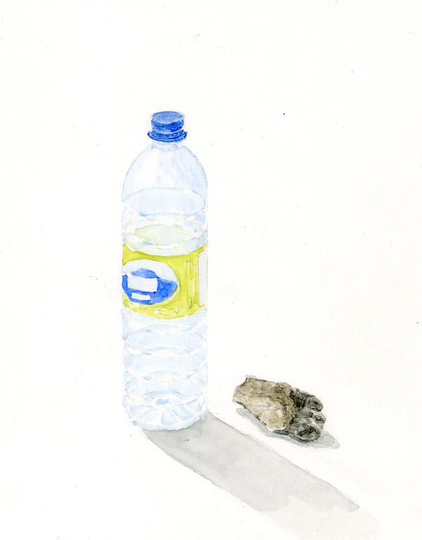 Ripley Whiteside, Naya, 2016