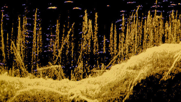 Ludovic Boney, Mémoires ennoyées 3, 2021