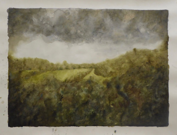 Ripley Whiteside, Acela, 2019