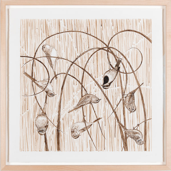 Ripley Whiteside, Upturned Sparrows, 2012