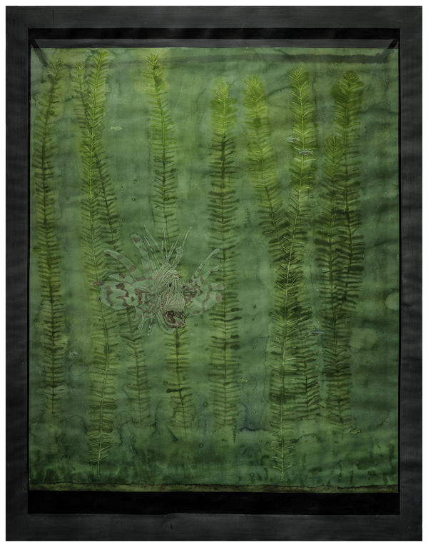 Ripley Whiteside, Dufferin, 2016