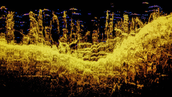 Ludovic Boney, Mémoires ennoyées 19, 2021