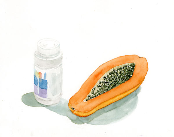 Ripley Whiteside, Papaya, 2016