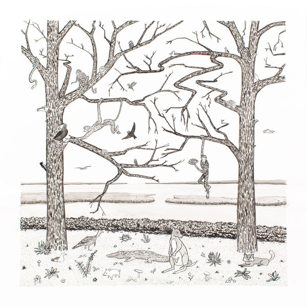 Ripley Whiteside, Simian Disruption, 2013