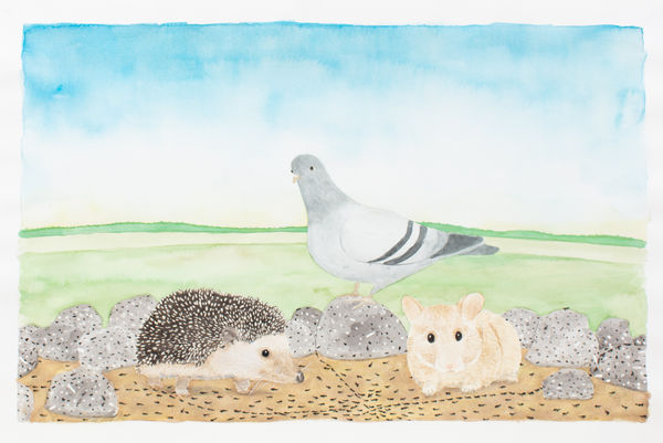 Ripley Whiteside, Mile End / Outremont, 2015