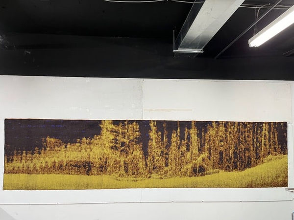 Ludovic Boney, Mémoires ennoyées tapisserie jacquard 3, 2024