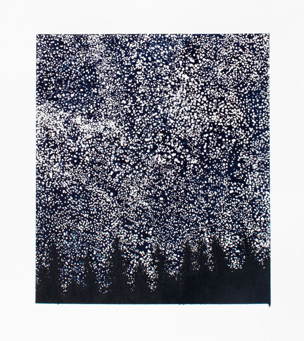 Ripley Whiteside, New Brunswick Stars, 2015