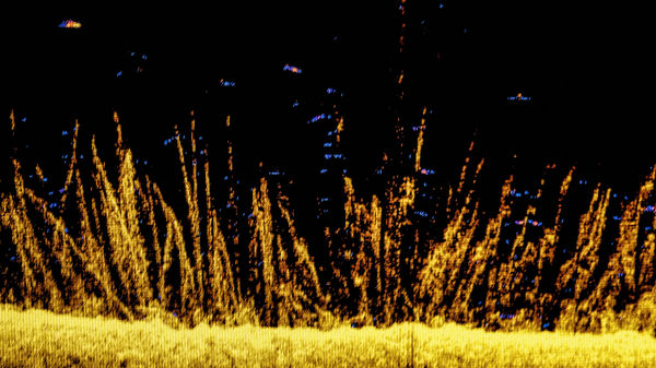 Ludovic Boney, Mémoires ennoyées 13, 2021