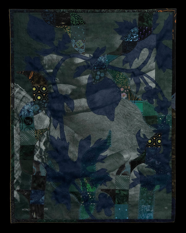 Aaron McIntosh, Honcho Embrace with Balsam Apple, Snake Vine, 2024