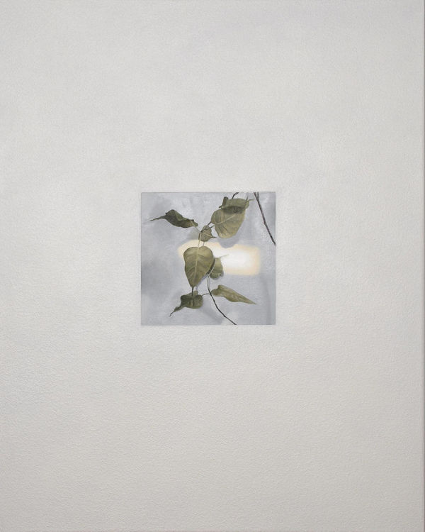 Isabelle Guimond, Paul (Série Encadrement), 2023