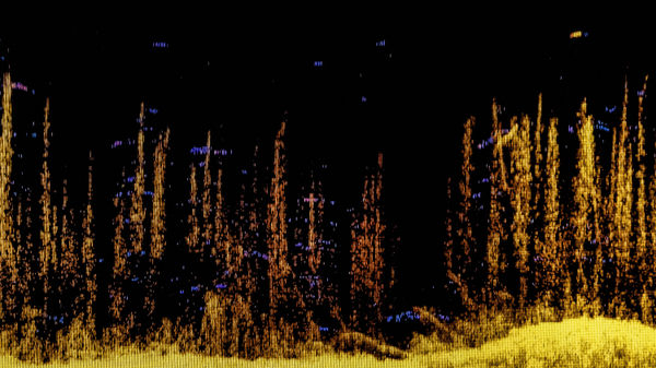 Ludovic Boney, Mémoires ennoyées 23, 2021