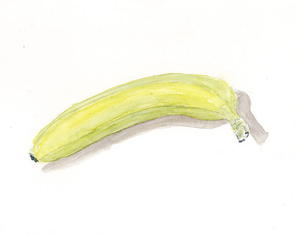 Ripley Whiteside, Unripe Banana, 2016