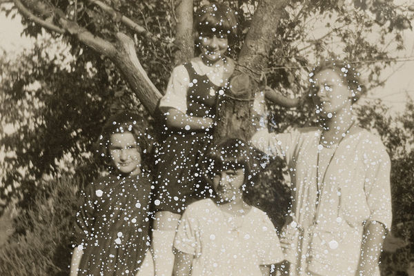 John Latour, Woman and three girls posing around a tree (one girl sitting between tree branches), 2024