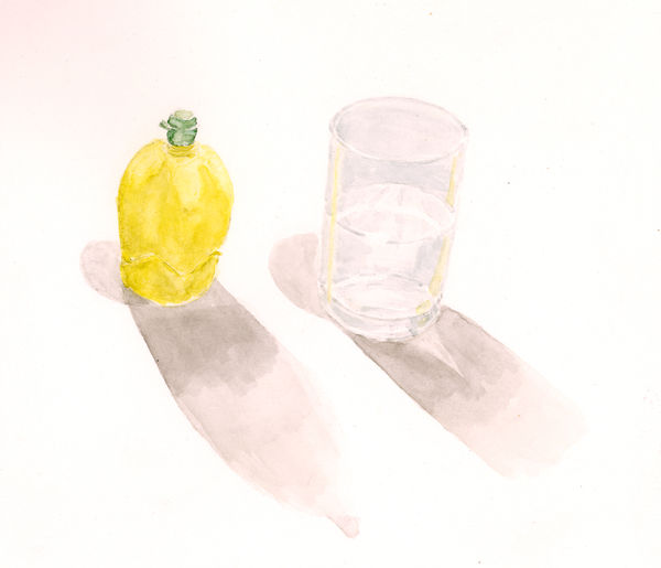 Ripley Whiteside, Lemon Concentrate, 2016