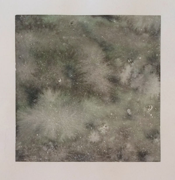 Starscape 3, 2015 Encre sur paper / Ink on paper Ripley Whiteside 10 x 9 " 25.4 x 22.9 cm