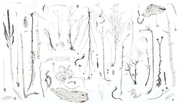 Ripley Whiteside, Outer Harbor, 2010