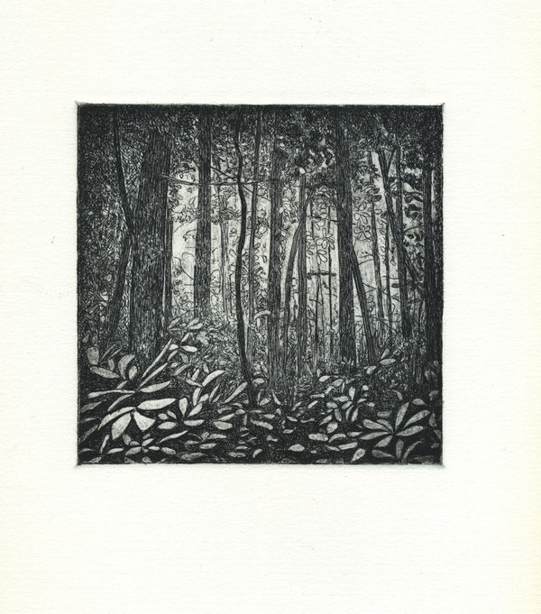 Ripley Whiteside, Unknowing, 2019