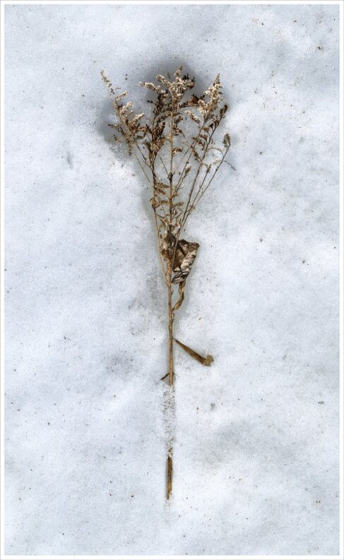 Véronique Malo, Empreinte de l'étreinte, 2024