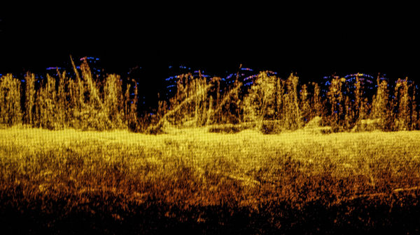 Ludovic Boney, Mémoires ennoyées 11, 2021