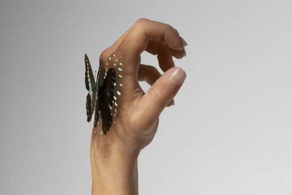 Karine Payette, Adaptation 1, 2023