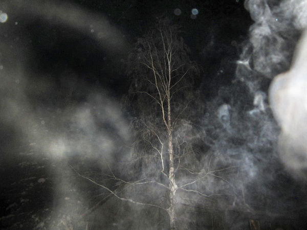 Ed Pien, Breath: Starry Night, 2013