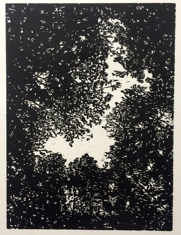 Ripley Whiteside, Canopy, 2018