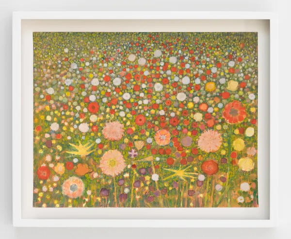 Sky Glabush, Wild Poppies (Belgium), 2026