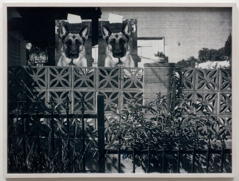 Amanda Ross-Ho, Shepherds (Double Tragedy), 2008