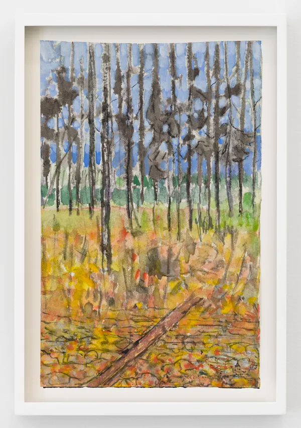 Sky Glabush, Forest Interior (Study), 2026
