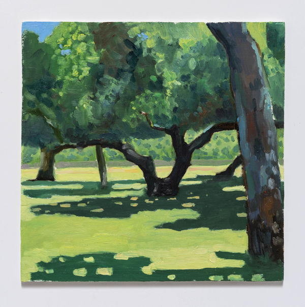 Tomory Dodge, San Pasqual Park, 2020