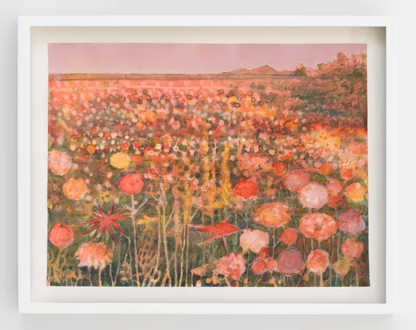 Sky Glabush, Olga's Flowering Poppies (Belgium), 2026