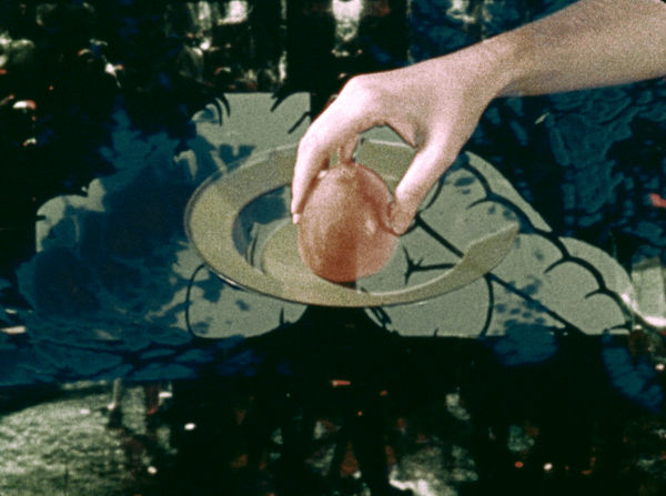 Pat O’Neill, Last of the Persimmons, 1972