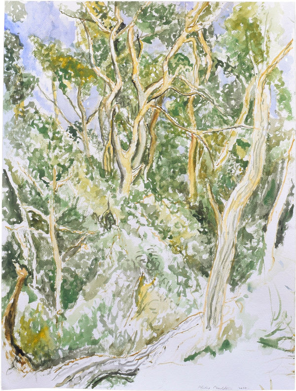 Philip Pearlstein, Cape Cod Hillside Forest, 2020