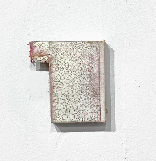 Ben Dallas 2021 Tortured By Group Dynamics BD008