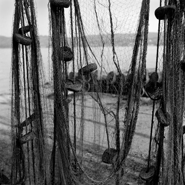 Estate YILDIZ MORAN, Resting Nets, 1956