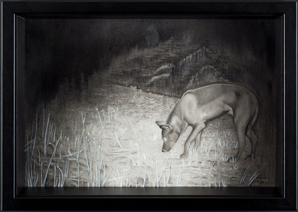 TAYFUN SERTTAŞ, HYBRID: BLACK WOLF, 2015