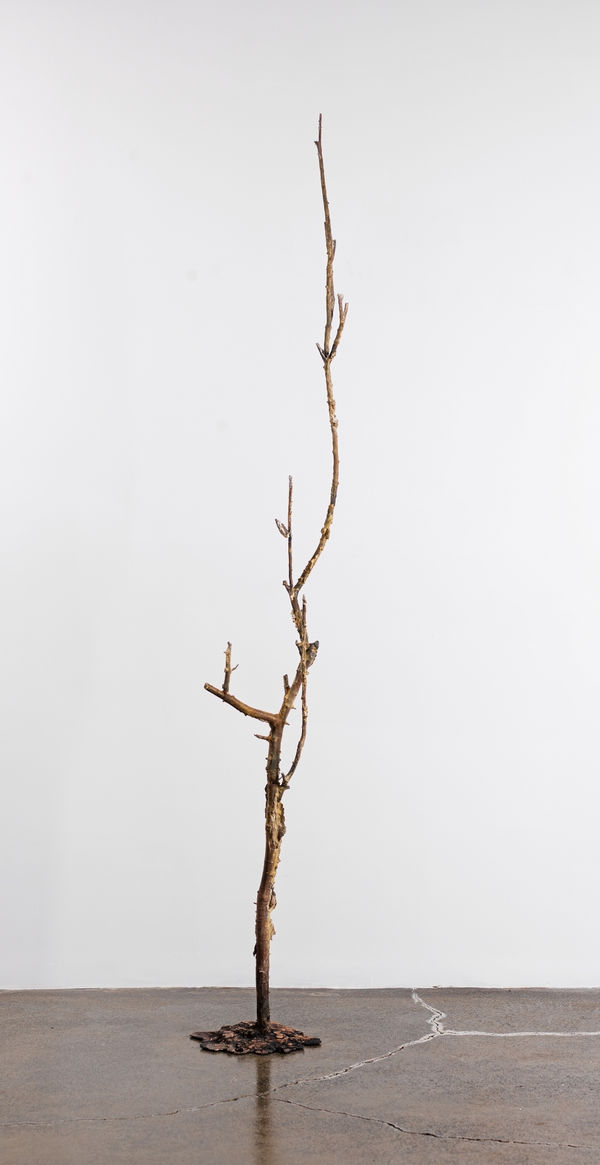 ALİ EMİR TAPAN, Untitled From The Series We Sleep Together, 2023