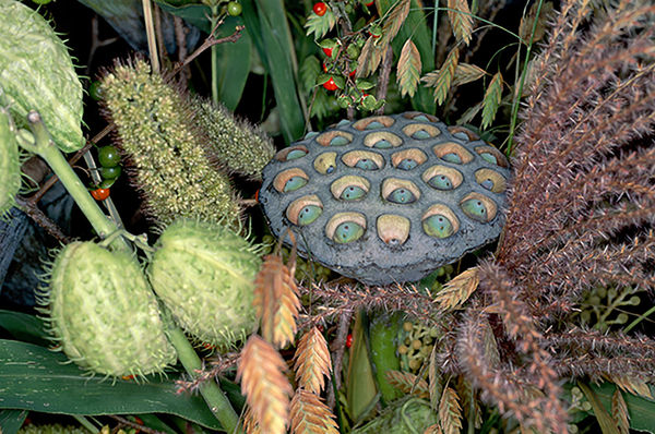 NOBUYOSHI ARAKI, FLOWER ROND 07