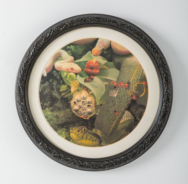 RASİM AKSAN, İsimsiz / Untitled, 2020