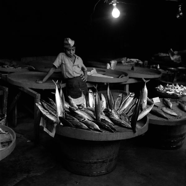 Estate YILDIZ MORAN, Bonito Boy, 1956