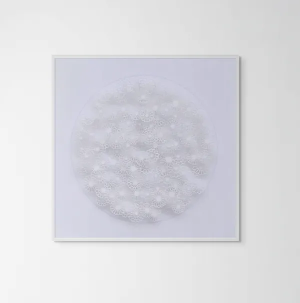 Graham Gosling, Kyujutsu Kiku 110 YA