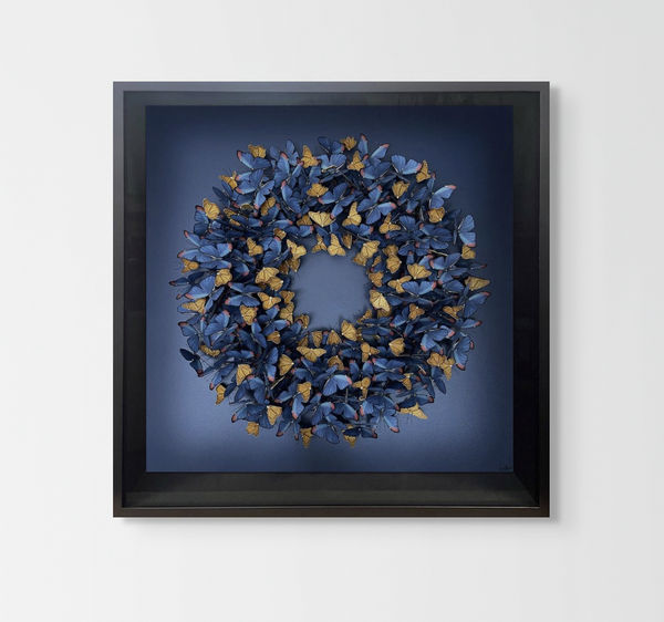 Daniel Byrne, Moonlight