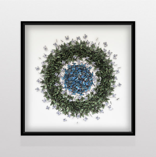 Daniel Byrne, Blue in Green