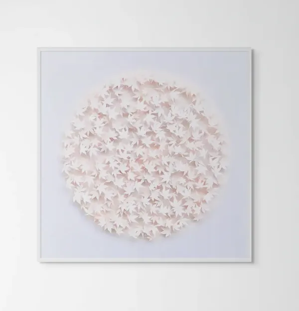 Graham Gosling, Kyujutsu Kaede 236 YA