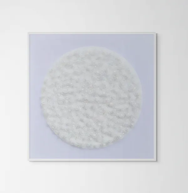 Graham Gosling, Kyujutsu Kiku 442 YA