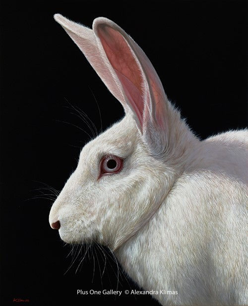 Alexandra Klimas Snowy the Rabbit I Oil on canvas 100 x 80 cm