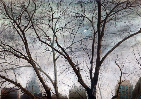 Andres Castellanos, Foggy Bryant Park